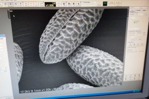 „NOC BIOLOGÓW” i „NOC BIOLOGÓW NA BIS”.