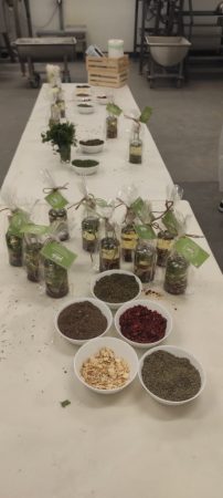 Współpraca kęckiego Kopernika z firmą JMP z Bielan