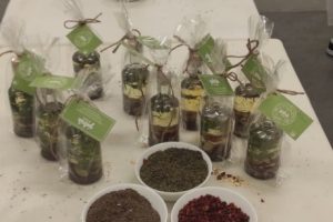 Współpraca kęckiego Kopernika z firmą JMP z Bielan